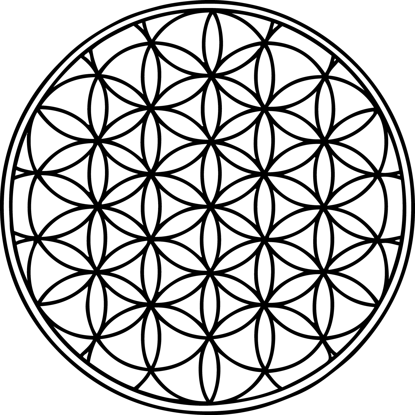 The Flower of Life, an ancient symbol of sacred geometry